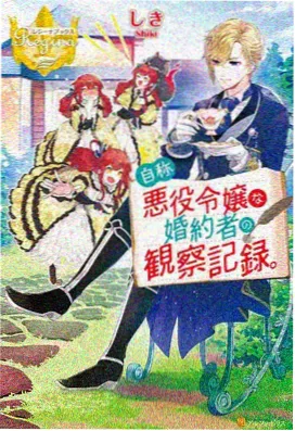 一拳超人 OVA 无证骑士的日常 封面